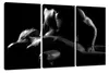 Visario Leinwandbild Erotisches 160x90 cm – Bild Wandbild Produktbild-Vorschau 1