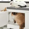 Zwei Katzen auf der SoBuy Schuhbank FSR136-W: eine schläft oben, eine sitzt im Katzenklo darunter Náhľad obrázku produktu