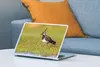 MuchoWow® Laptop Aufkleber Sticker Cover Vogel - Gras - Produktbild-Vorschau 4