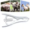 A collage of pigs and lambs, with a castration tool in the foreground. Produktbild-Vorschau