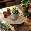 2.03 Blumentopfständer - Tisch mit Baumscheibe (klein) - Produktbild-Vorschau 7