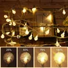 A string of warm white globe lights is draped over a black wire basket, with decorative items in the background. Below are four smaller images showing the lights at different brightness levels (25%, 50%, 75%, 100%). Produktbild-Vorschau