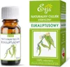 Ätherisches Eukalyptusöl 10 ml - ETJA Produktbild-Vorschau 3