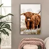 Wanddeko 60x90 cm - Schottisches Hochlandrind - Kuh - Natur Produktbild-Vorschau 2