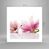 Poster - Poster ohne Rahmen - Magnolie blume natur pflanze Produktbild-Vorschau 4