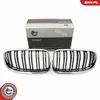ESEN SKV 66SKV118 Kühlergrill Frontgrill für BMW 3 Coupe Produktbild-Vorschau 7