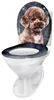 WC Sitz Toilettensitz mit Absenkautomatik Duroplast Produktbild-Vorschau 3