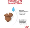 ROYAL CANIN Mini Starter Mother & Babydog 1kg Hündinnen Produktbild-Vorschau 4