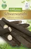 Schwarzwurzel Hoffmanns schwarze Pfahl | Schwarzwurzelsamen Produktbild-Vorschau 1