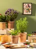 Scheurich Toscana, Blumentopf aus Keramik,  Farbe: Toscana Produktbild-Vorschau 2