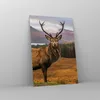 Bilder auf glas - Einteilig - Rehe Wiese Berge - 70x100cm - Produktbild-Vorschau 4