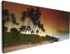 Wallario Premium Leinwandbild Sri Lanka - Palmenstrand mit Produktbild-Vorschau 1