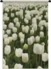 MuchoWow® Wandteppich Wandbehang Weiße Tulpen auf einem Produktbild-Vorschau 1