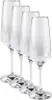 Vivo 19-5300-8130 Voice Basic Sekt 4 teilig, Gläsersets, Produktbild-Vorschau 16