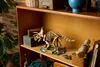 Fósiles de dinosaurio: Triceratops Vista previa de la imagen del producto 31