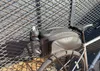 Sacoche de vélo, sacoche de porte-bagages, 11 litres, noir, Voir les images du produit 8