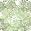 Coloray Fototapete 104x70 cm Latextapete Magicstick - Produktbild-Vorschau 2