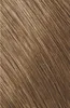 Goldwell Topchic Tube 8GB Sahara Blond Beige Clair 60ml Voir les images du produit 8