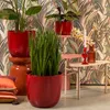 Blumenübertopf "Tusca" aus Keramik H 20 cm – Ø 22,5 cm Rot Produktbild-Vorschau 5