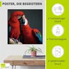 ARTland Poster Papageien Größe: 40x40 cm Produktbild-Vorschau 2