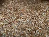 Siemię lniane brązowe 25 KG - Wysoka zawartość błonnika  - Podgląd zdjęcia produktu 3