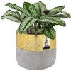 KOTARBAU® Pot de fleurs en céramique grand or Céramique non Voir les images du produit 1