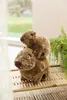 Nici 61223 Kuscheltier Capy-Barbara Capy-Barbara 27cm Podgląd zdjęcia produktu 9