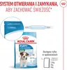 Royal Canin Mini Puppy, Welpe, Geflügel, 8 kg Produktbild-Vorschau 17