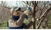 Bosch Professional 12V Akku-Pro-Astschere Pruner – Produktbild-Vorschau 11