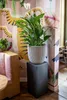 A plant in a pot on a stand in front of a colorful mural. Produktbild-Vorschau