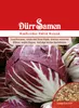 Radicchio Palla Rossa | Radicchiosamen von Dürr Samen Produktbild-Vorschau 1