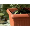 A close-up shot of a brown plastic plant pot with soil and a small plant inside, placed near a pond. Produktbild-Vorschau