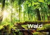 Wald - Erholung für Mensch und Tier - 2027 - Kalender DIN Produktbild-Vorschau 1