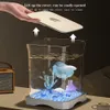 Mini Aquarium - Tisch-Aquarium Starterset - LED-Beleuchtung Produktbild-Vorschau 3