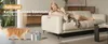 A woman and two cats are in a living room setting with a cat water fountain. Produktbild-Vorschau