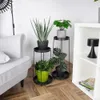 A living room scene with plants on stands next to a sofa and a bookshelf. Produktbild-Vorschau