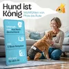 HUND IST KÖNIG Windeln für Hündinnen [3 Stk], S (Taille Produktbild-Vorschau 8