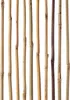 Tiges de bambou - Tuteurs/tiges de jardin - 150 cm - Ø Voir les images du produit 4