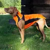 Back on Track Eddie Petite Hundepullover reflektierend Produktbild-Vorschau 7