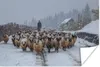 MuchoWow® Poster Schaf - Schnee - Haus 90x60 cm - Produktbild-Vorschau 1