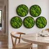 HAGO24 Moosbild Grün Kiefernholz Wandbild Mooswand Produktbild-Vorschau 5