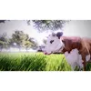 SOEDESCO Real Farm Sim - Premium Edition, PlayStation 5, E Produktbild-Vorschau 5
