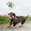 Hunter Trainer Snack Dummy mit Seil altrosa Produktbild-Vorschau