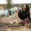 Ruffwear Hi & Light™ Hundehalsband Produktbild-Vorschau 6