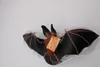 Safari Ltd Townsends Big Eared Bat Multicolor One Size Produktbild-Vorschau 2