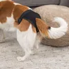 Trixie Schutzhöschen, S–M: 32–39 cm, Schwarz Produktbild-Vorschau 2