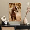 MuchoWow® Poster Pferd - Sonne - Porträt - Natur - Braun Produktbild-Vorschau 3