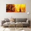 Bilder auf glas - Wald Baum Natur - 120x50cm - Glasbilder - Produktbild-Vorschau 7