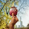 Coach Wild Rose EDP W 30 ml Náhľad obrázku produktu 7