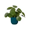 elho® Vibes Übertopf Fold Mini Tiefblau Ø 7 cm - Kunststoff Produktbild-Vorschau 9